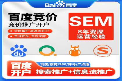百度平台推广：成功案例解析与效果分析